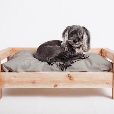 Dog Bed 1